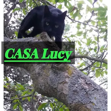 Casa Lucy